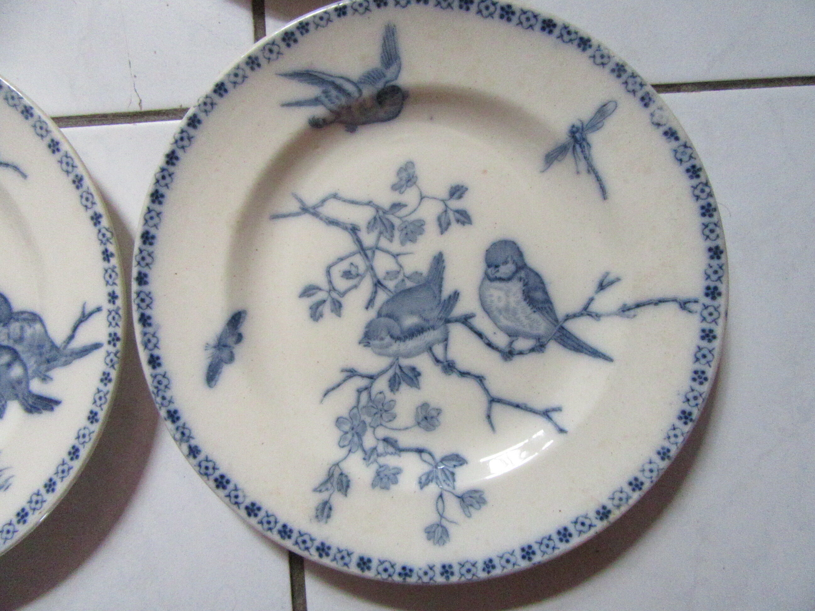 Plates earth fire batch of 6 birds vintage decorations