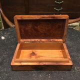 Box Elm