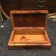 Box Elm