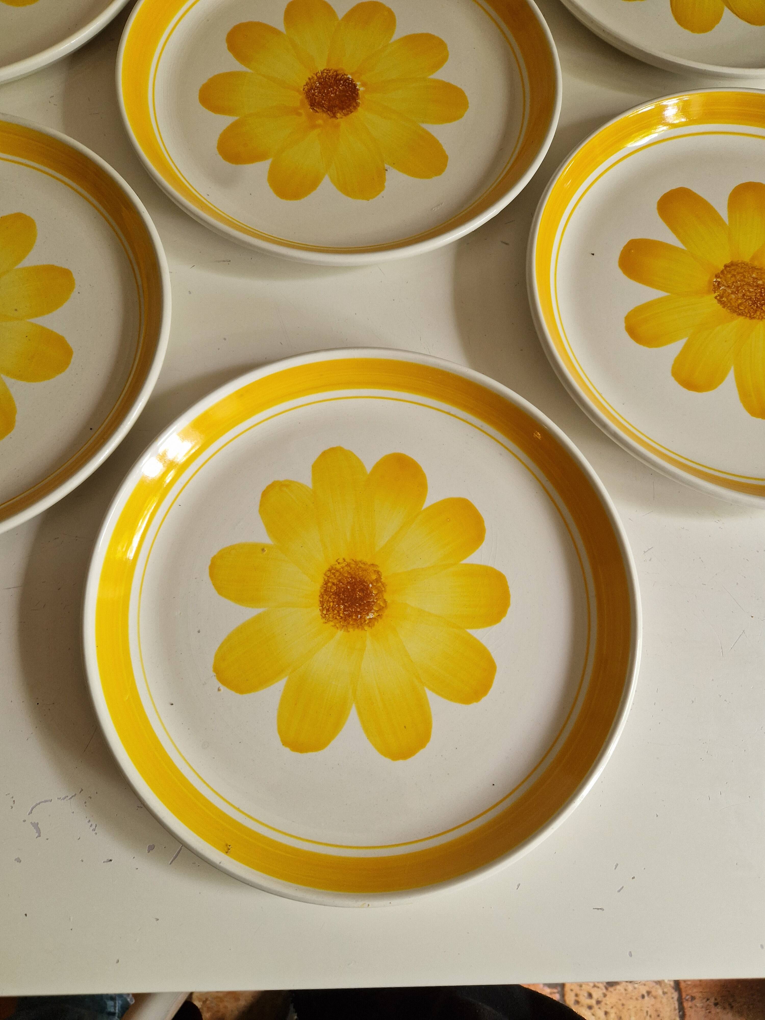 Set of 10 Flat Plates Sarreguemines Model Roseline