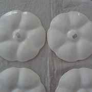 6 Plates with oysters white manufacture GIEN old