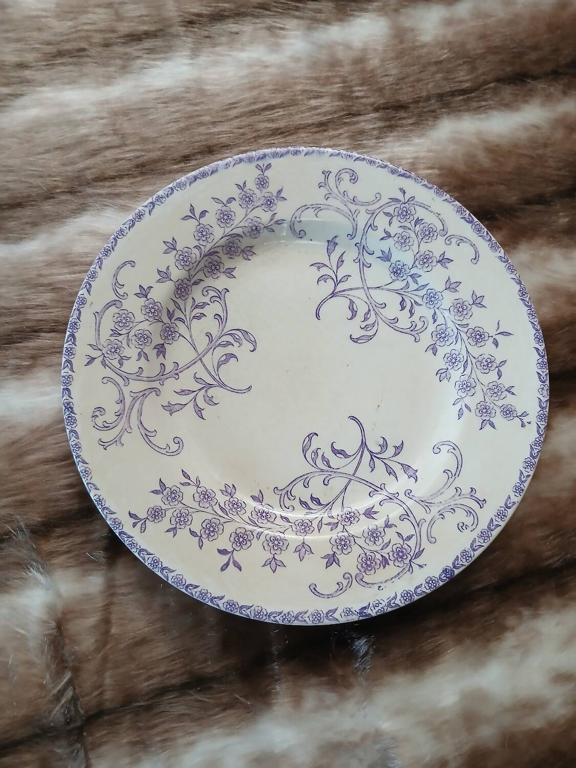 12 antique flat plates in ironstone