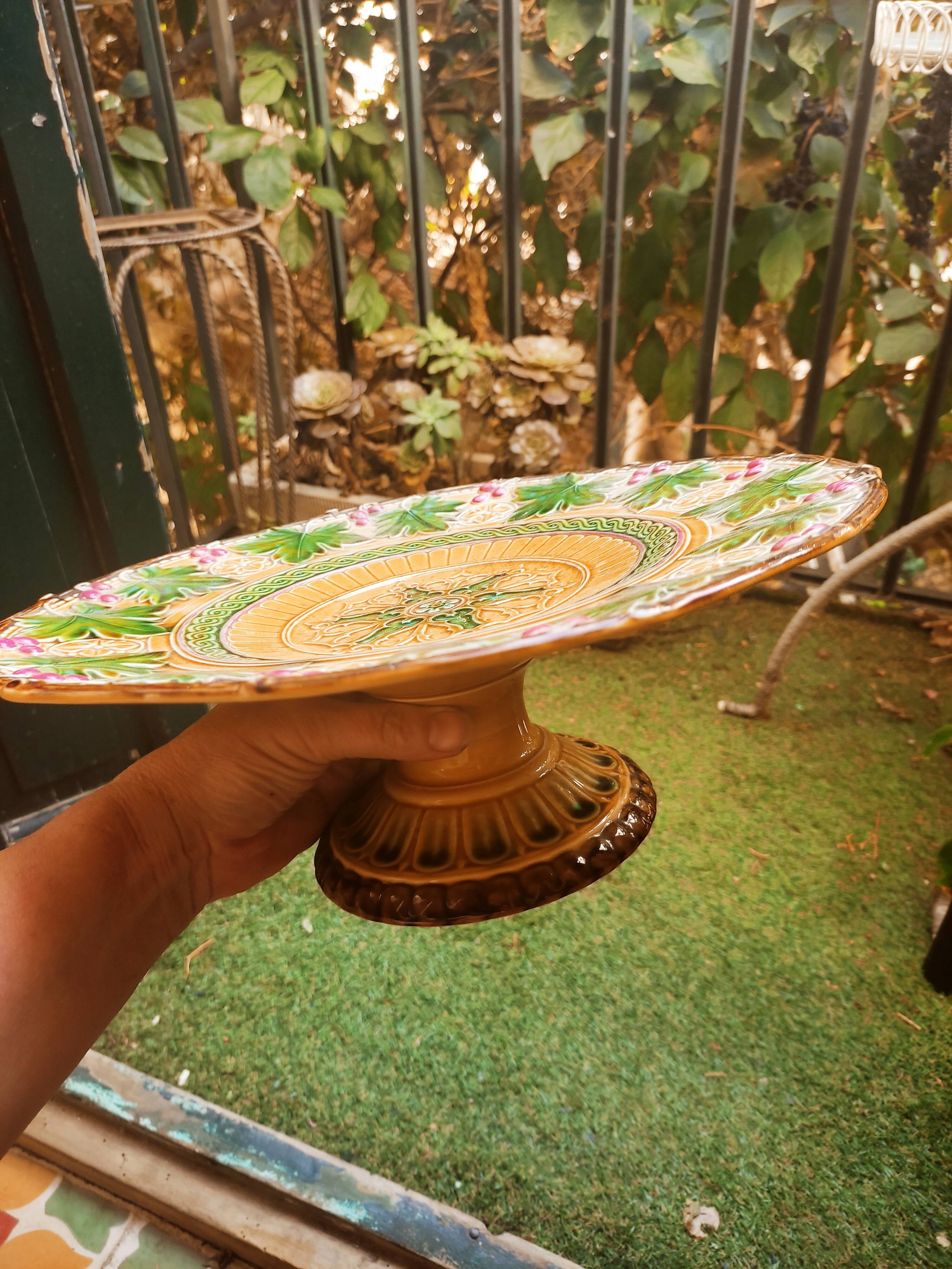 Dish on foot in slurry