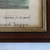 2 plates of ornithological bird engravings