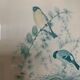 2 old John Gould illustrations