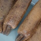 Vintage Dutch cognac coloured leather club chair, set of 2