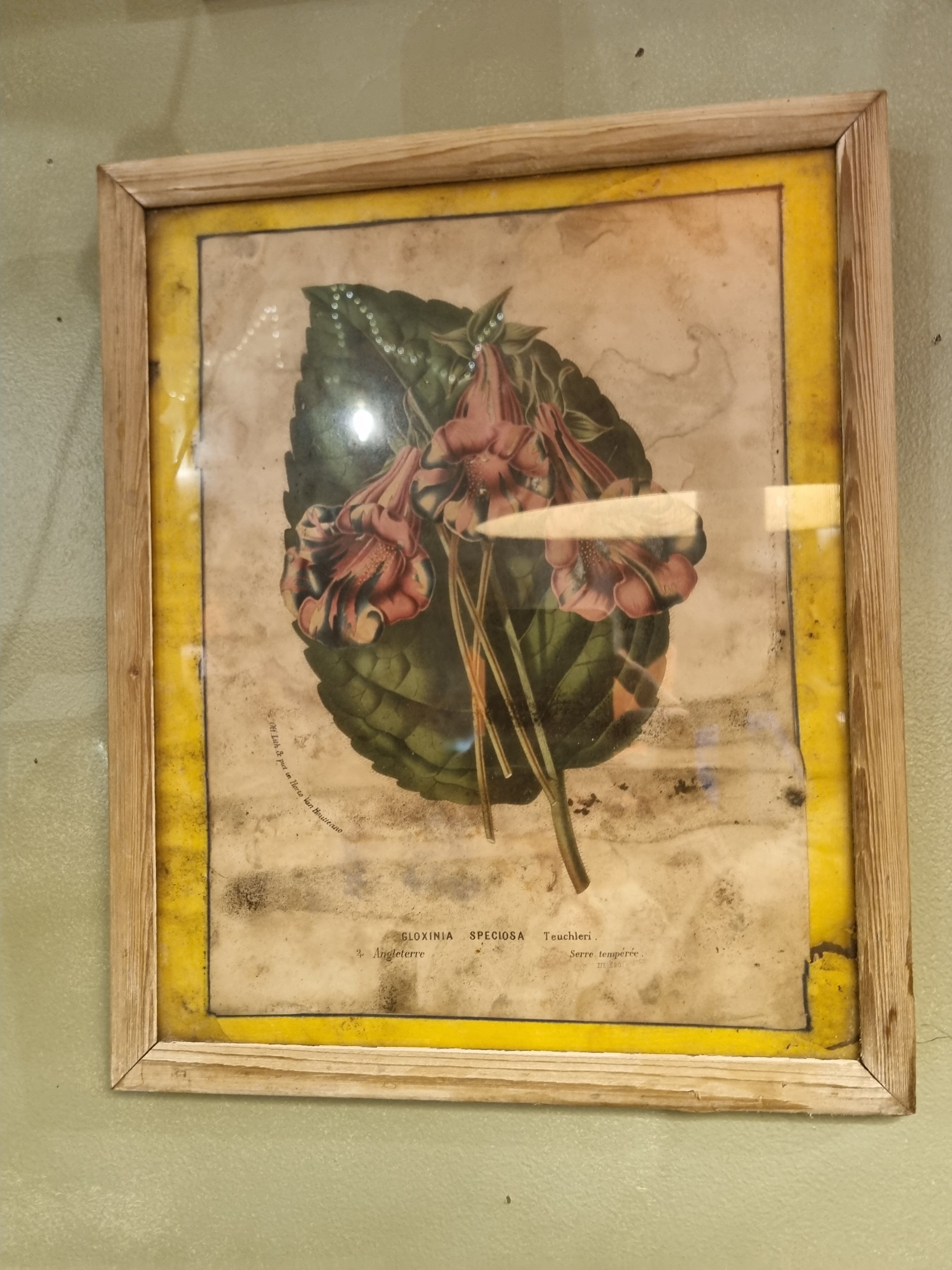 Floral engraving late 18th