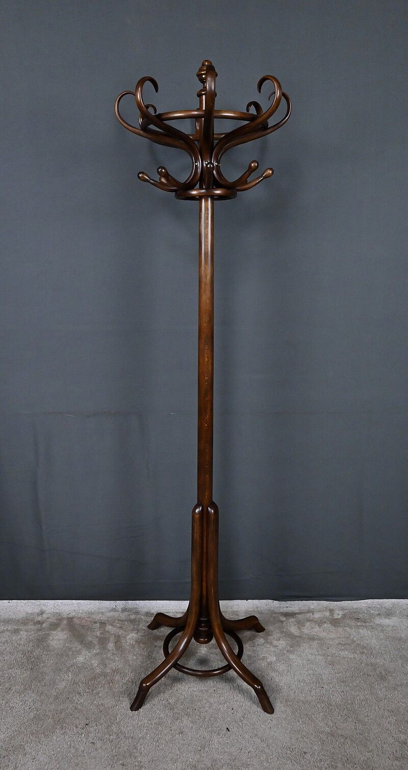 Beech coat rack parrot – early 20th century