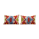 Paire de coussins Ikat