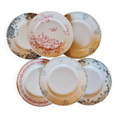 6 assiettes plates dépareillées terre de fer lot 3