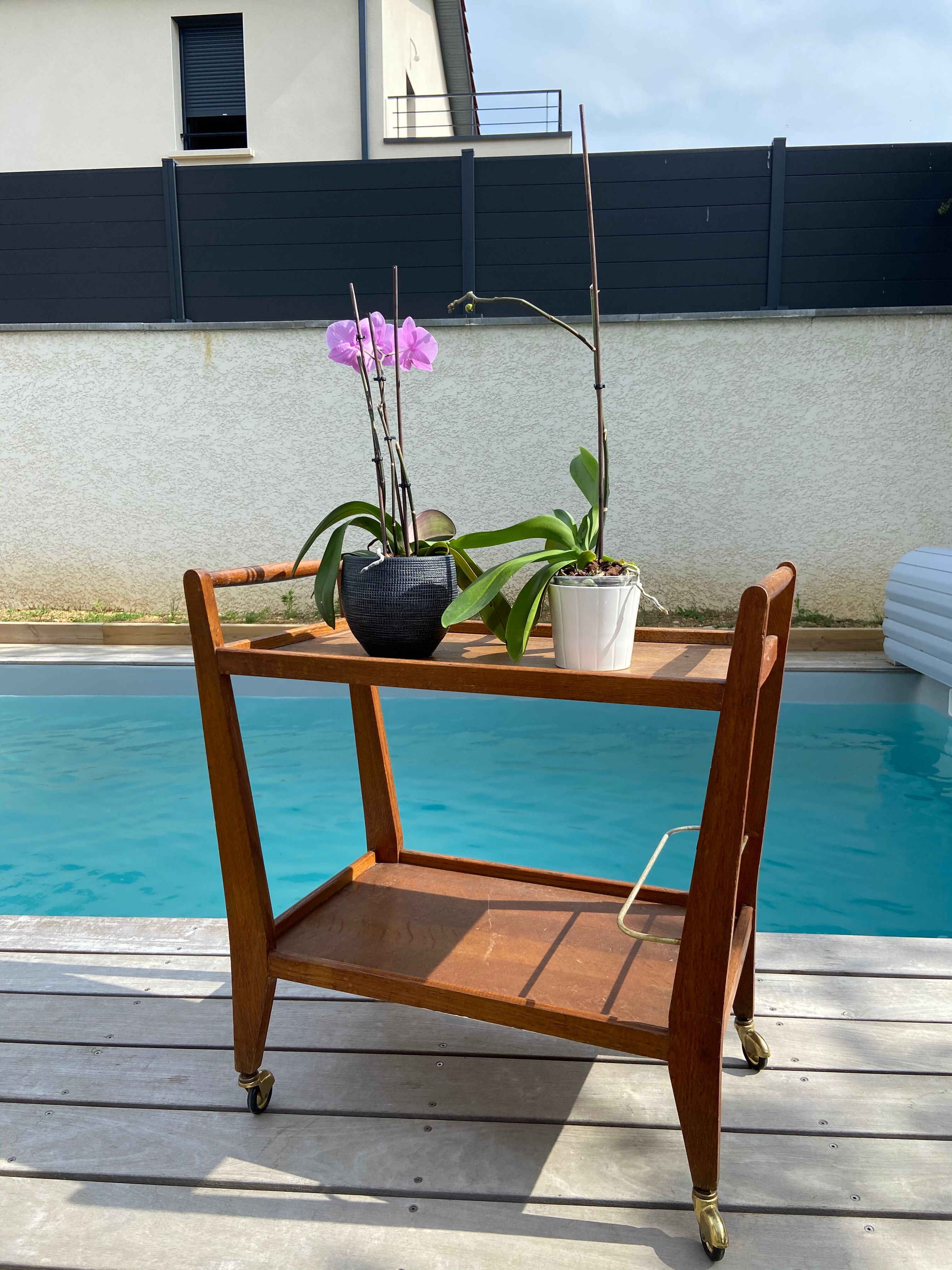 Scandinavian vintage teak dessert