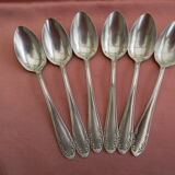 Set of 6 teaspoons in silver metal.