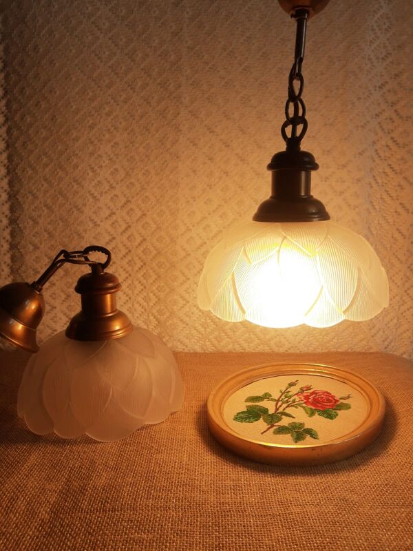 Paire de suspensions verre dépoli fleurs bois laiton vintage