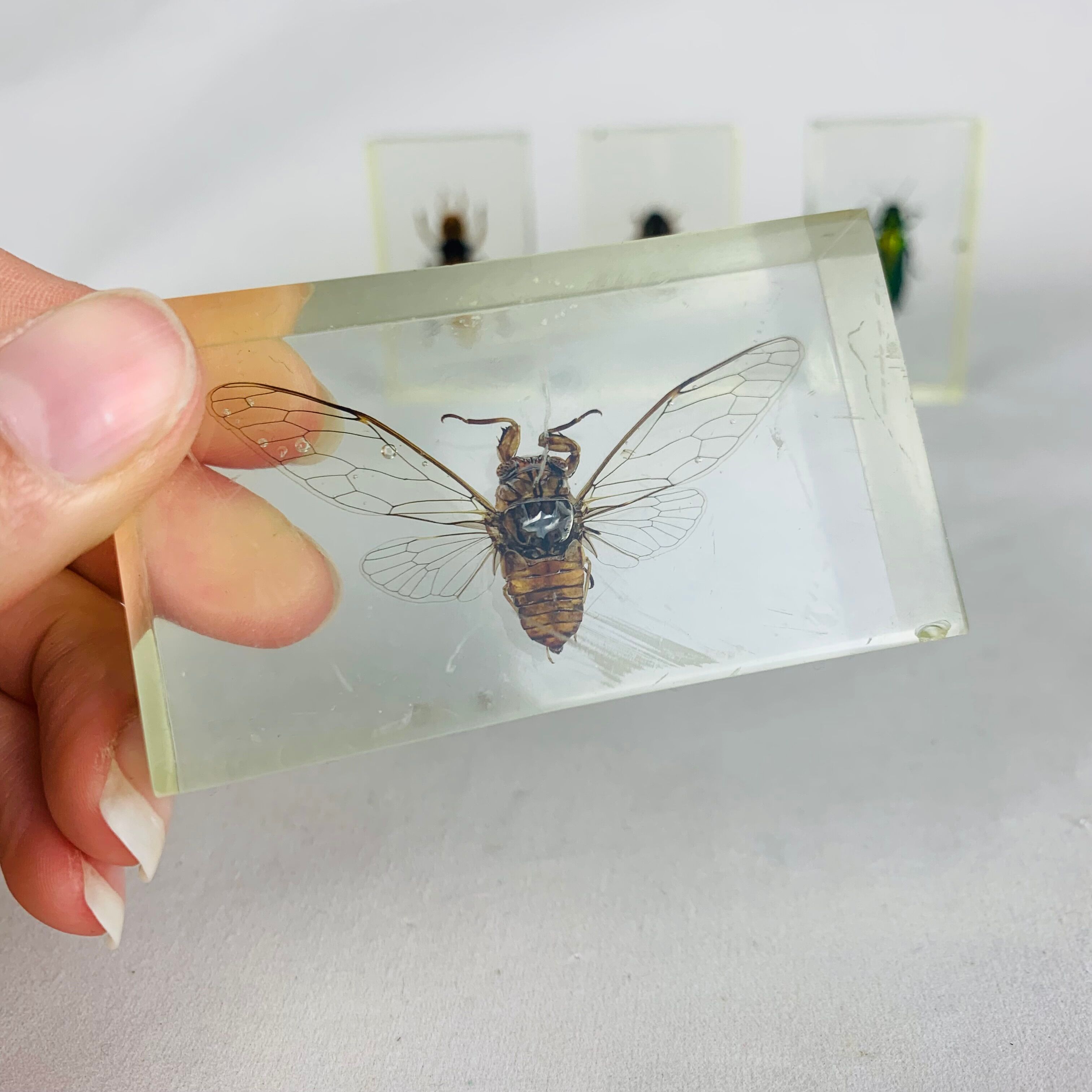 Colino In Acciaio Inossidabile KitchenAid - Maglia Fine, Color Rosso Imperiale, Per Cucina - Foto 4