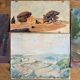 Paintings set of 4 drawings by Ed. Pannetier (1884-1965) Provence Côte d'Azur