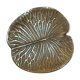 Empty gold leaf pocket