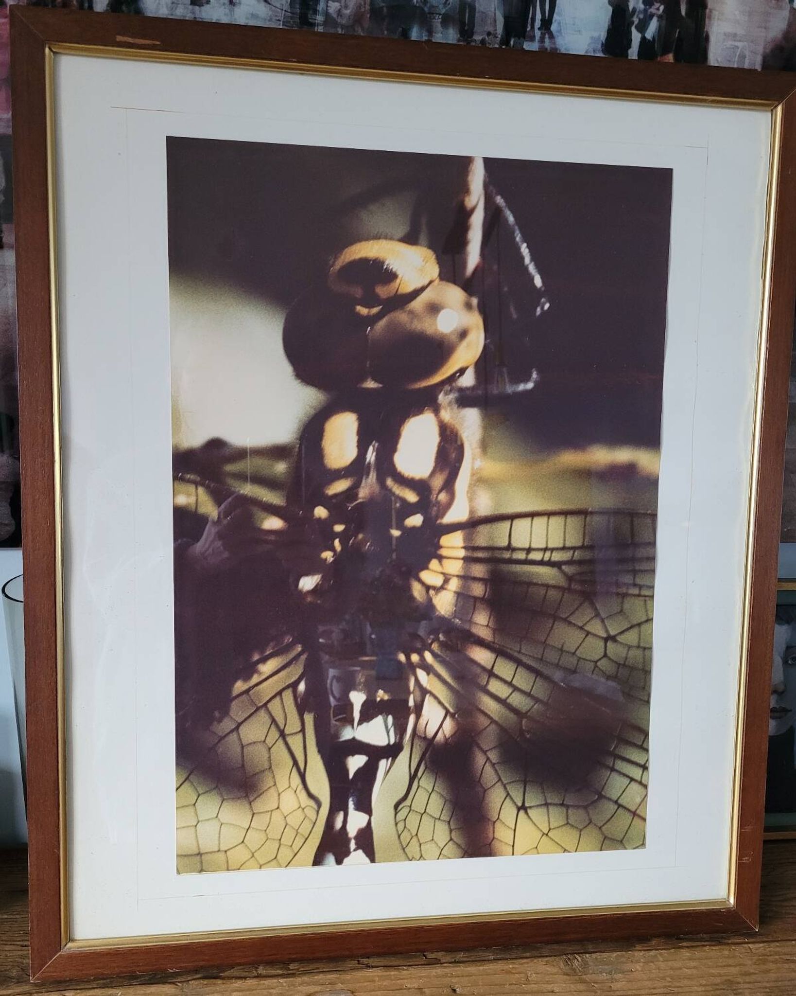 Dragonfly vintage photo painting