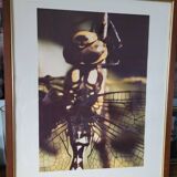Tableau photo vintage Libellule