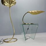 Tommaso Barbi "Rhubarb" floor and table lamp by Bottega Gadda Italy, 1970