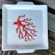 Square serving dish