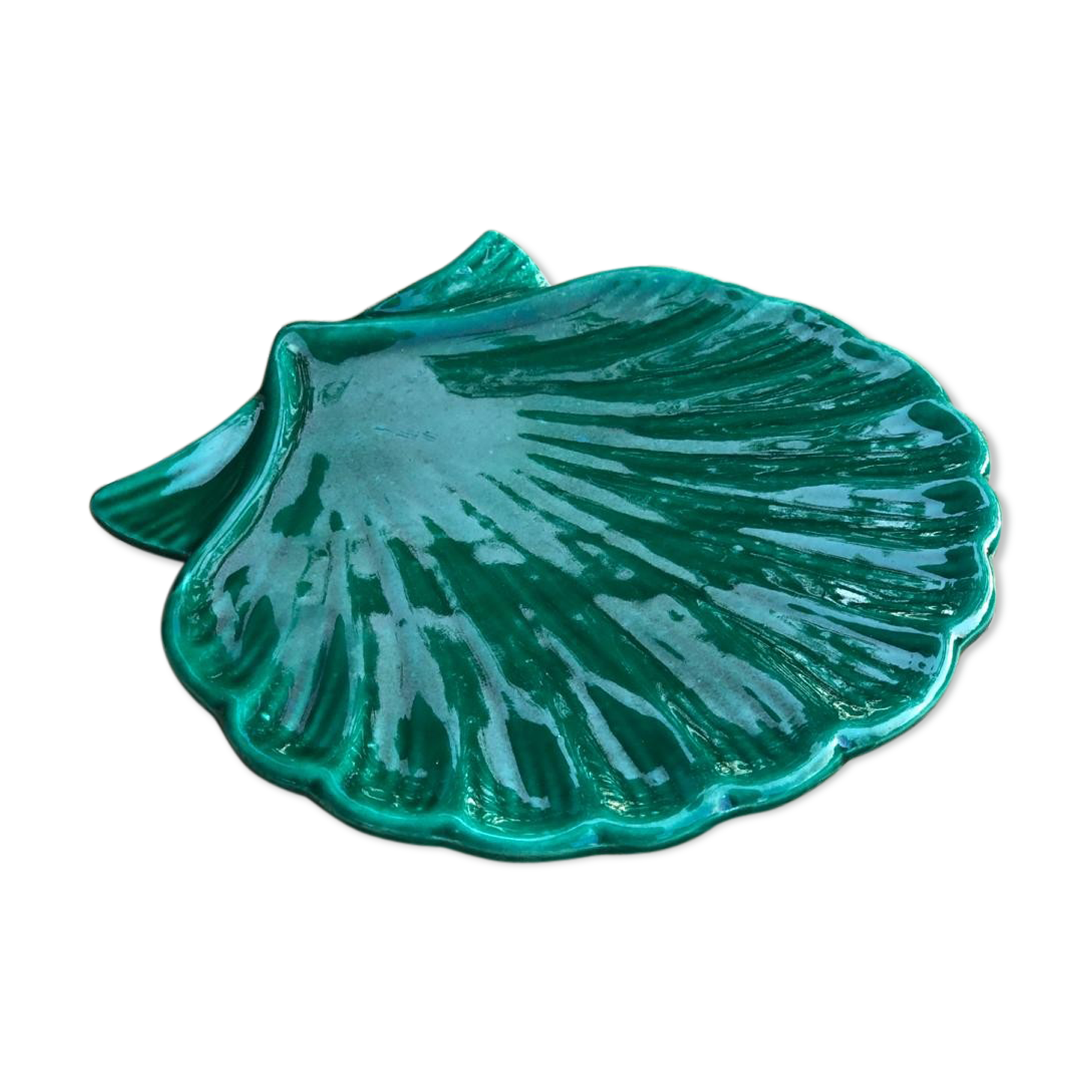 Seashell plate
