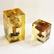 2 inclusions resin Mushrooms