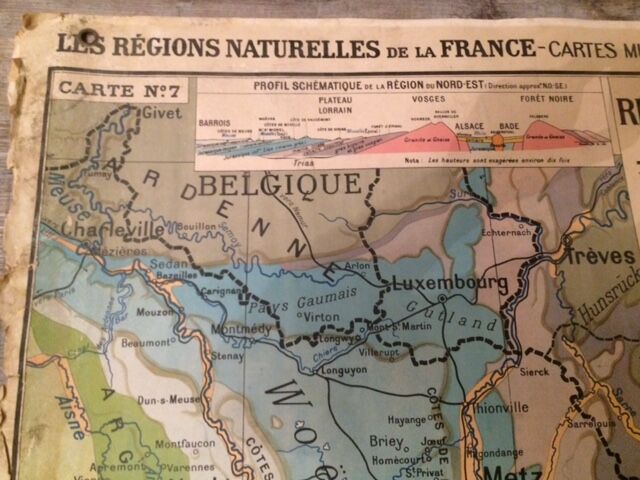 School card no. 7 Paul Kaeppellin Northeast region