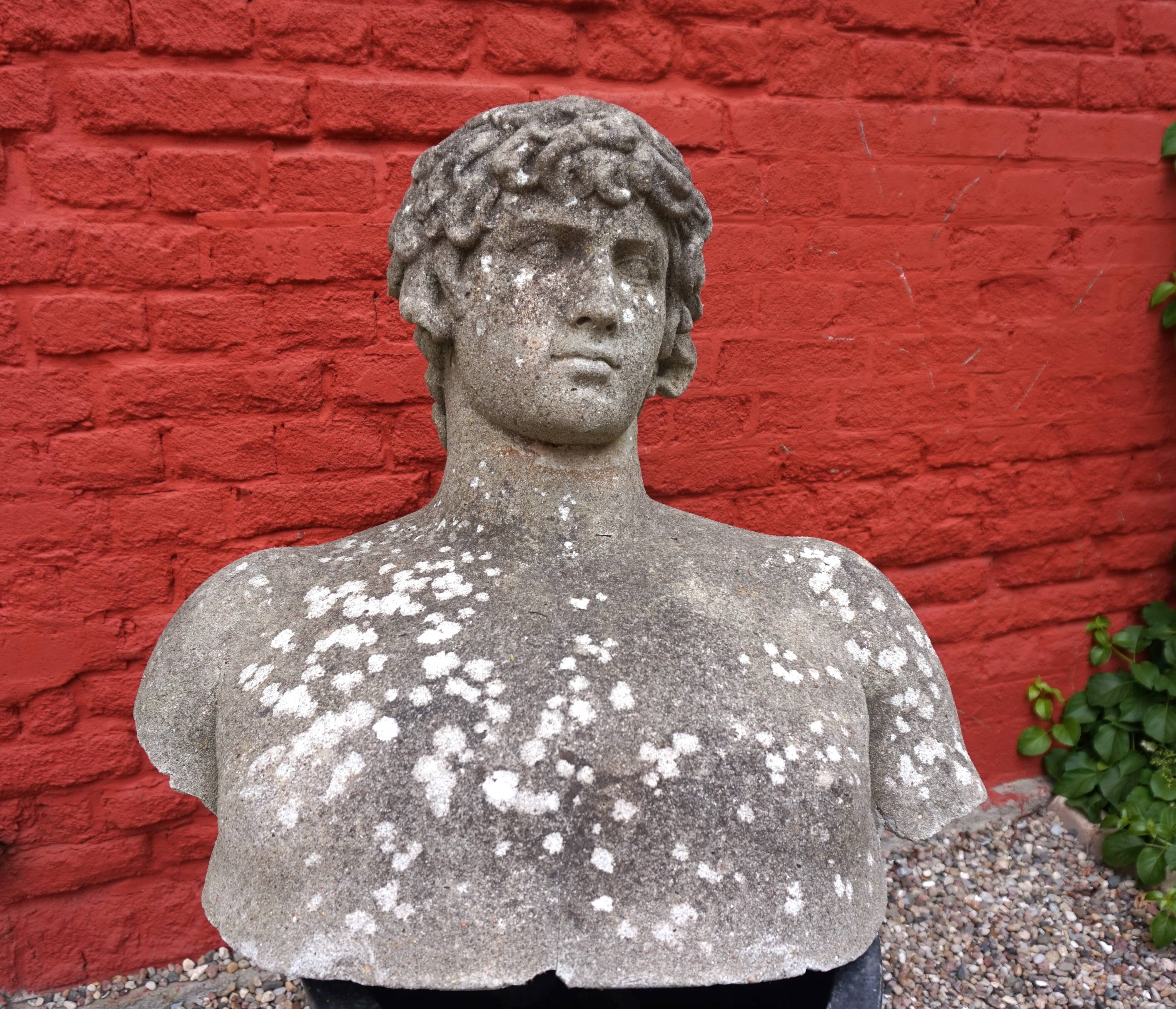 Weathered garden sculpture David concrete bust