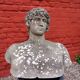 Weathered garden sculpture David concrete bust