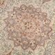 Vintage Persian Style Rug, Soft Beige Blue Medallion Handwoven Carpet