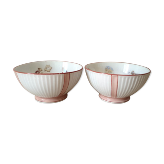 Lot de 2 bols blanc et roses