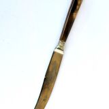 Set of 10 old knives in horn and steel 1920 dessert fruit