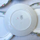 7 opaque porcelain dinner plates Digoin floral pattern 3984