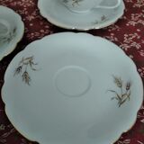 4 cups and saucers in Bavaria porcelain