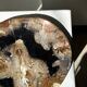 Large empty pocket or dish in petrified wood
