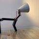 "Chien WAaf" lamp by designer Pierre STADELMANN