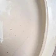 Antique sauce boat in ironstone from Salins – Sepia dragonfly decoration – With lid