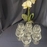 Set of 7 cognac glasses in sober and elegant crystal, beautiful resonance