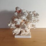 Antique white coral adorned with pink seashells