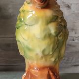Parrot pitcher