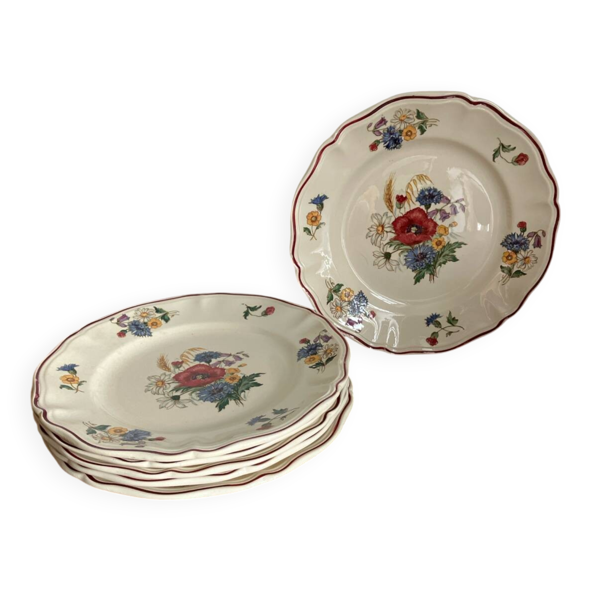 6 Sarreguemines dinner plates