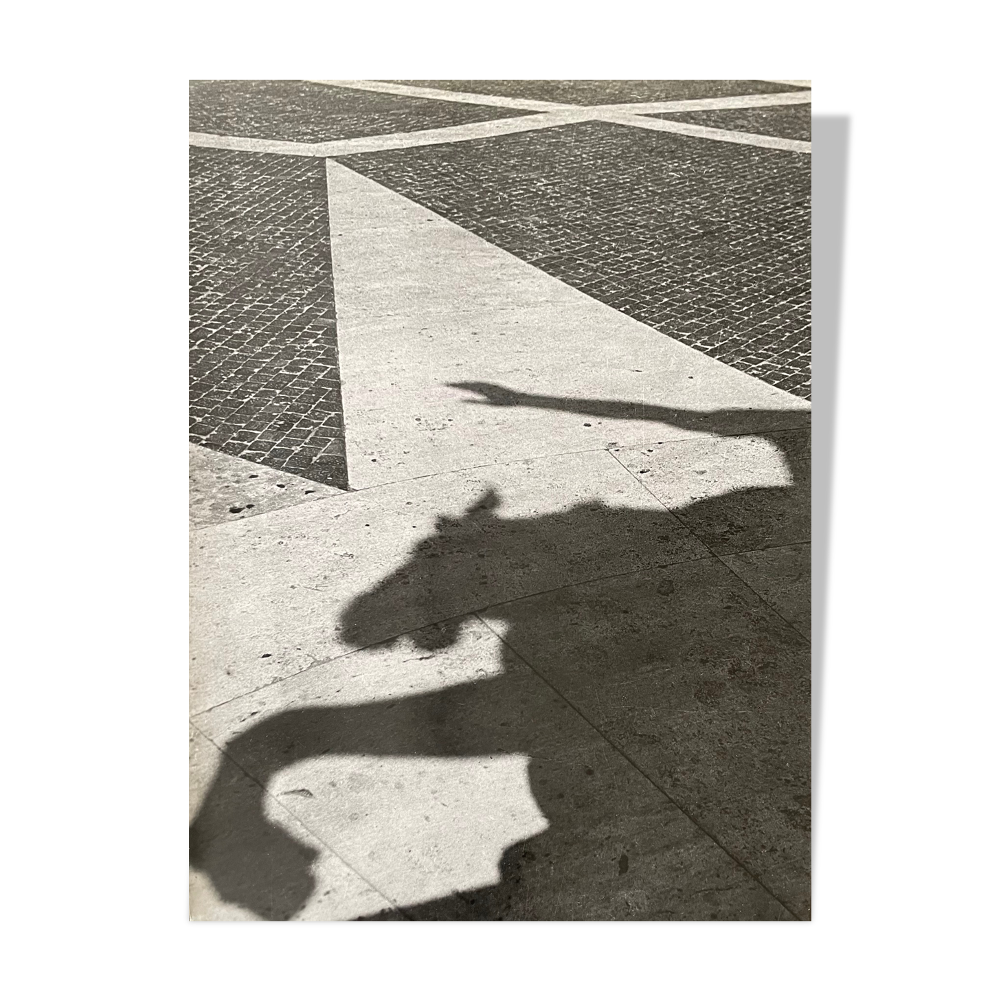 Black and white silver photography early twentieth century