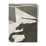 Black and white silver photography early twentieth century