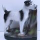 polychrome numbered porcelain fox terrier early 20th century