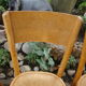 Lot of six old bistro chairs