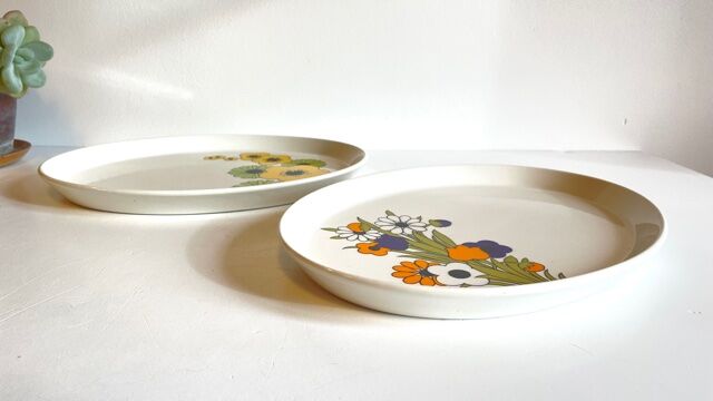2 Oval Ceramic Dishes English