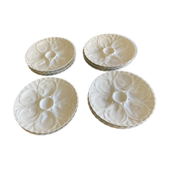 Series of 12 oyster plates