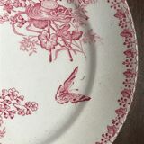 Lot of 9 plates iron earth circa 1900