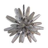 Star luster