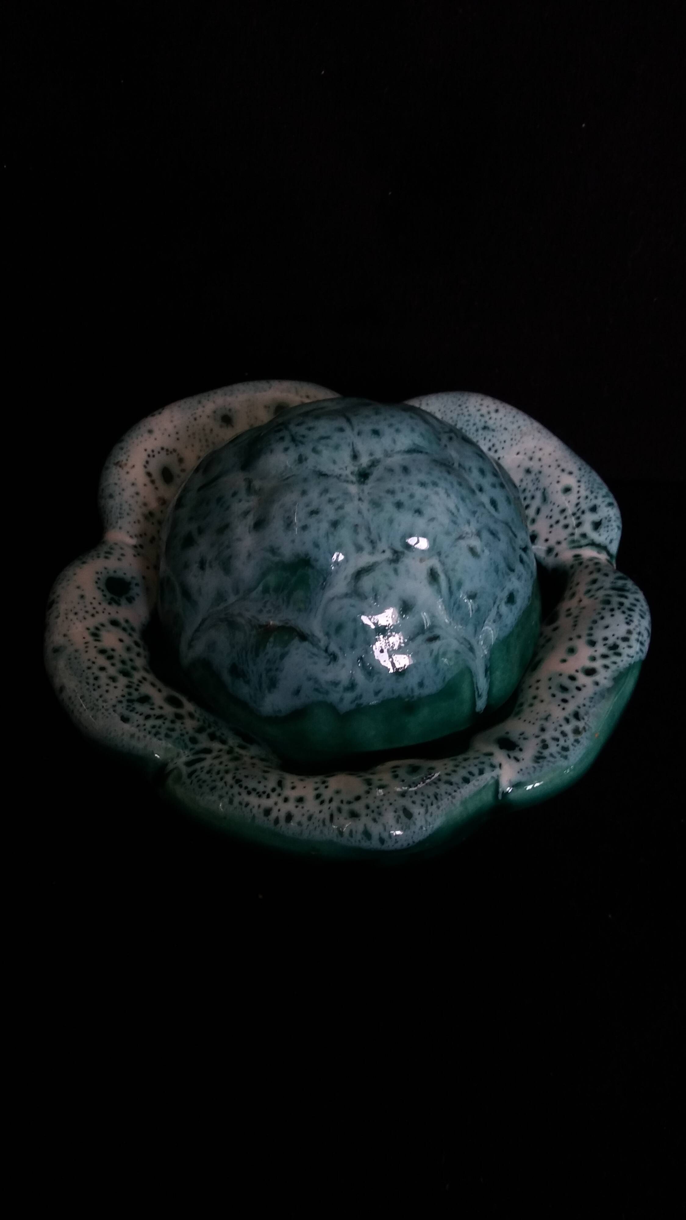 Cabbage mustard pot in slip